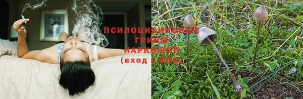 твердый Заволжье